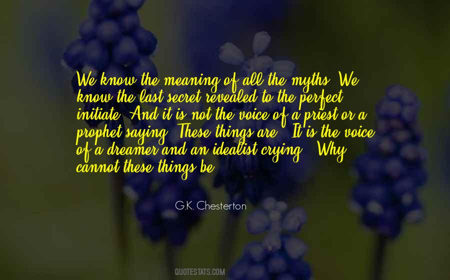 Things Are Not Perfect Quotes #1062830
