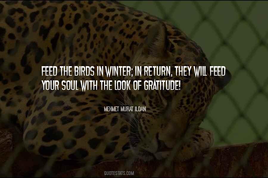 Birds Feed Quotes #1578305