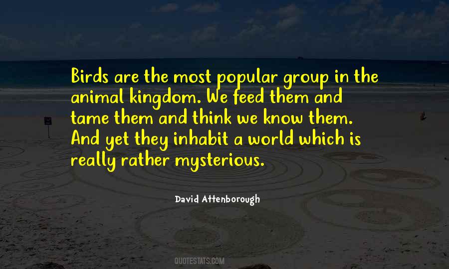 Birds Feed Quotes #1637286