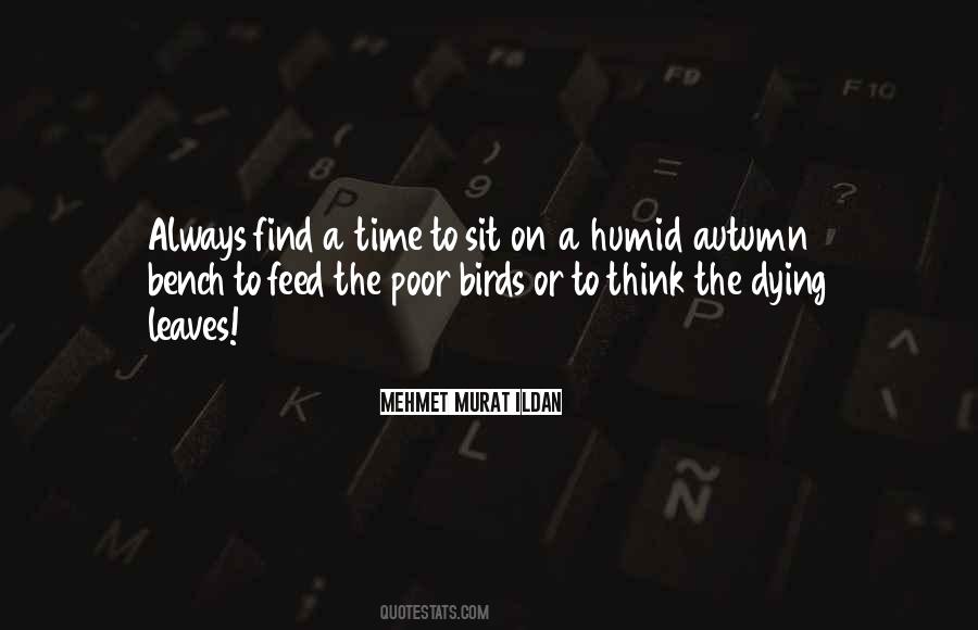 Birds Feed Quotes #860543