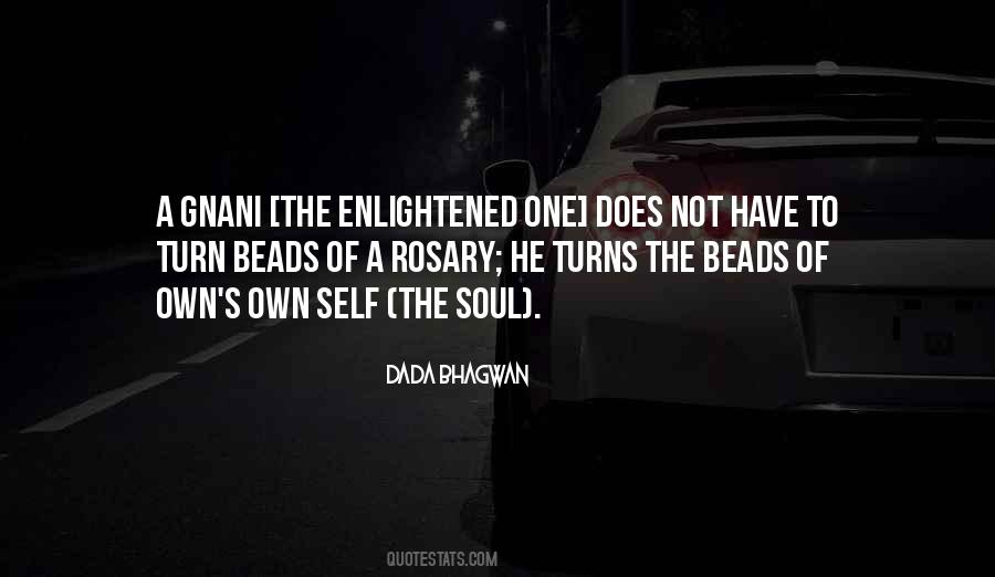 Enlightened Self Quotes #317173