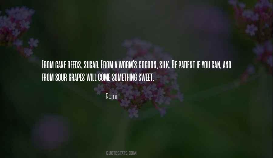 Sugar Is Sweet Quotes #1504510