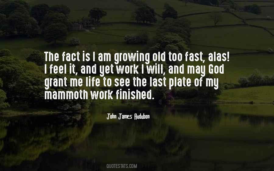 Life Too Fast Quotes #1124163