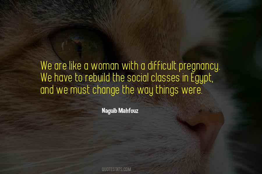 Change Can Be Difficult Quotes #413931