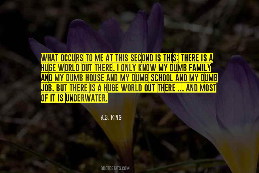 My Family Is My World Quotes #989441