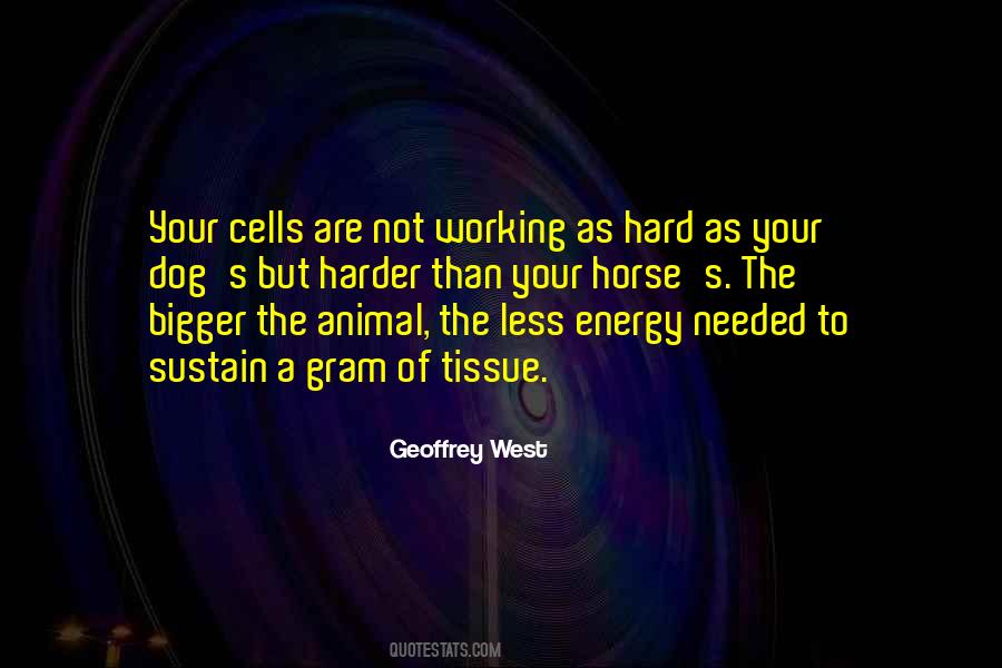 Quotes About Working Less #922497