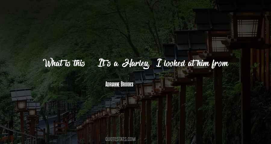 Big Bike Quotes #1391640