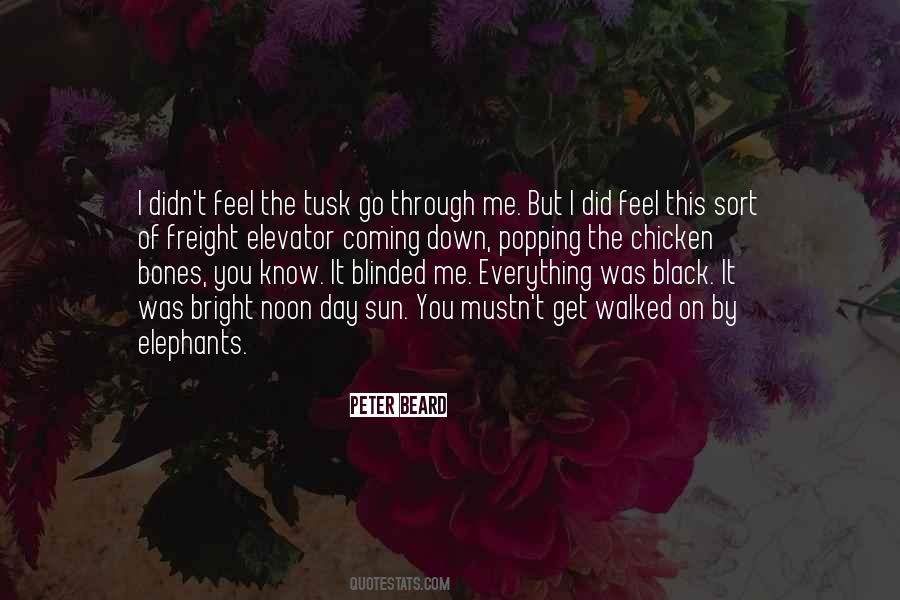 Go Down On Me Quotes #343623
