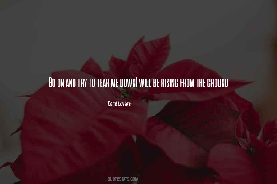 Go Down On Me Quotes #792623