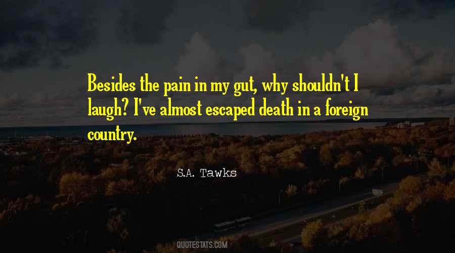 Laugh Pain Quotes #502053