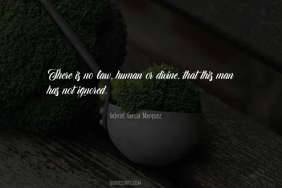 There Is No Law Quotes #1131870
