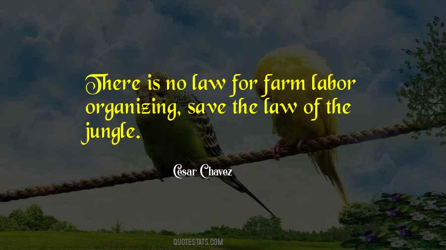 There Is No Law Quotes #417647
