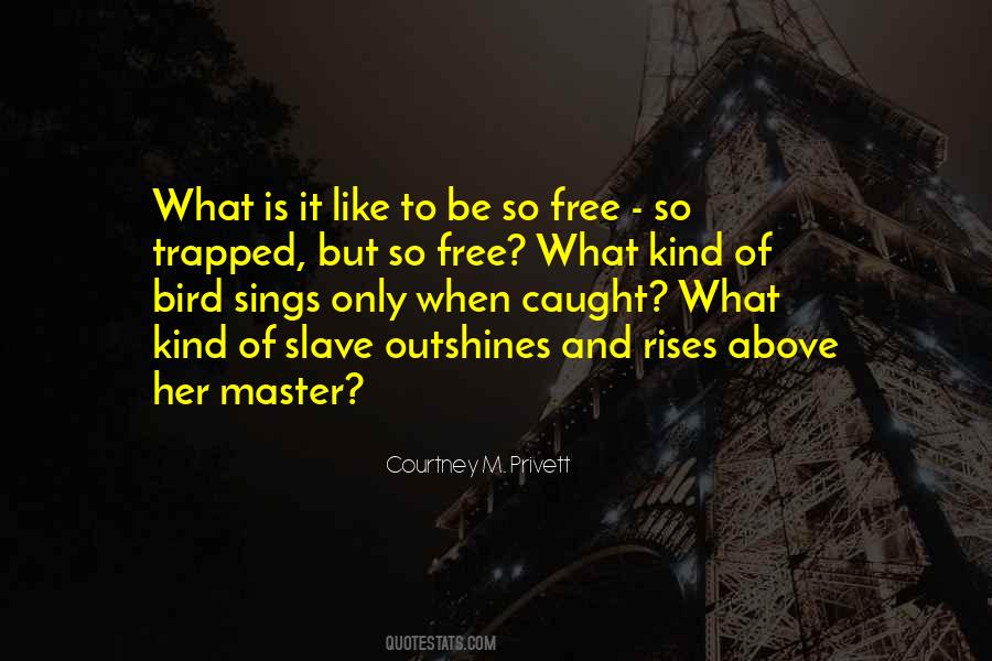 Free Like Bird Quotes #1851970