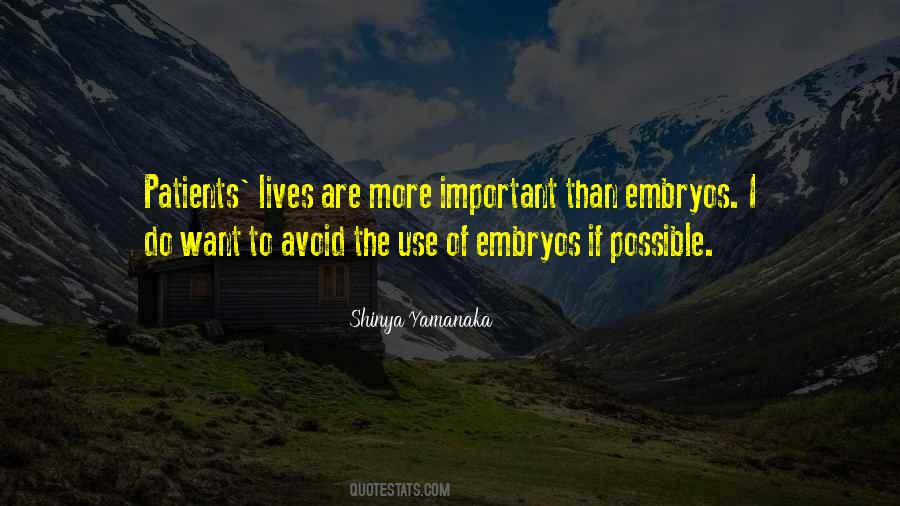 Lives Are More Important Quotes #847887