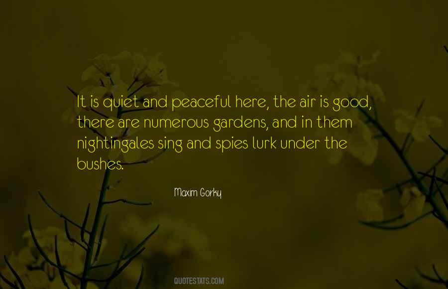 Peaceful Quiet Quotes #155326