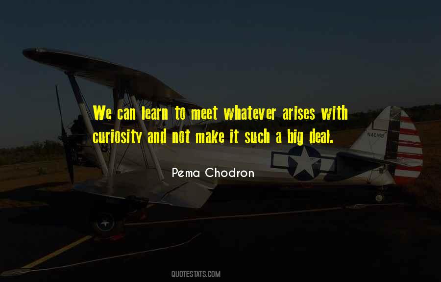 Curiosity To Learn Quotes #1791254