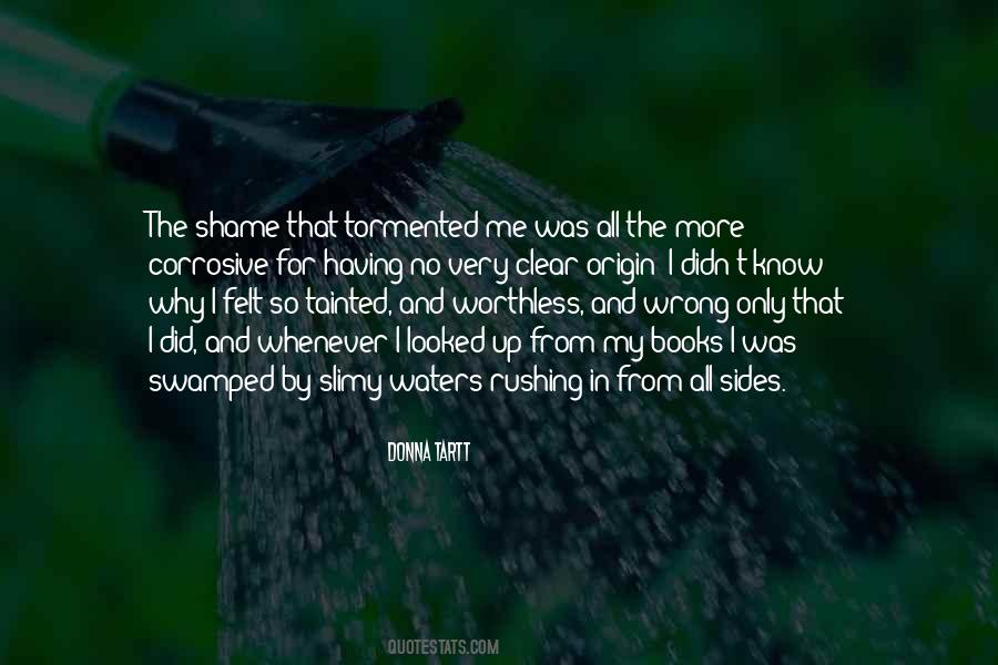 No More Shame Quotes #414145