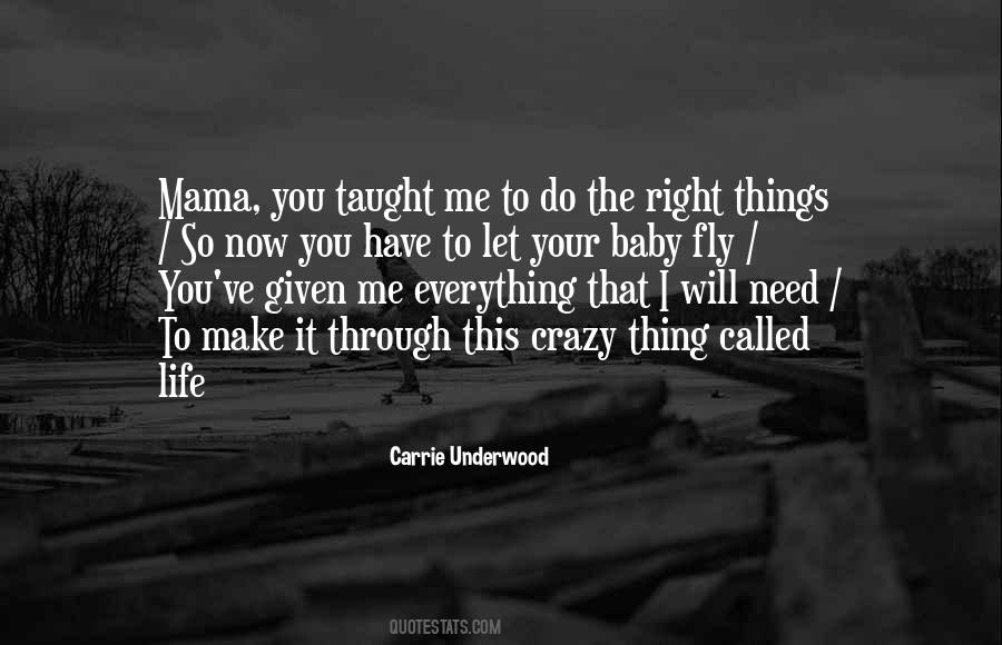 Life Fly Quotes #1431688