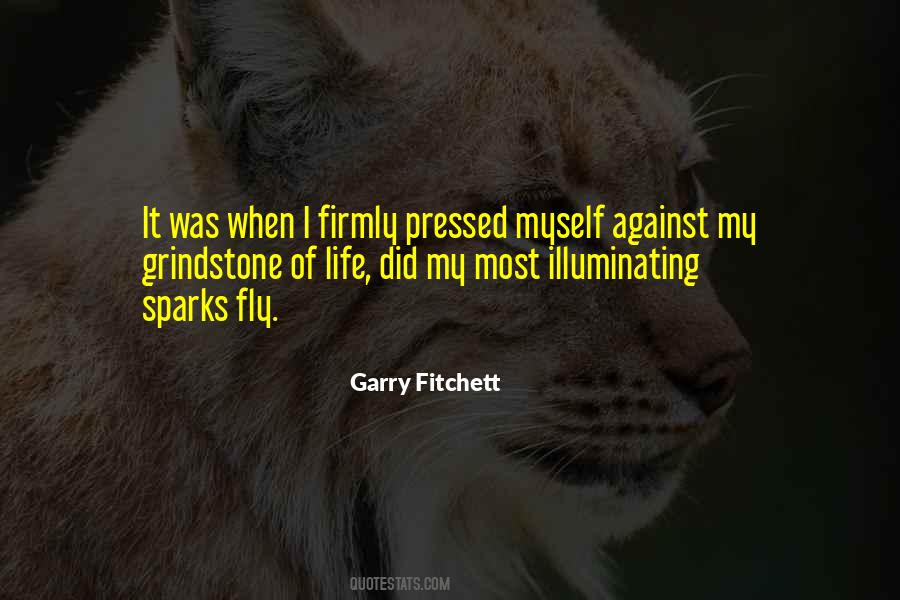 Life Fly Quotes #1529869