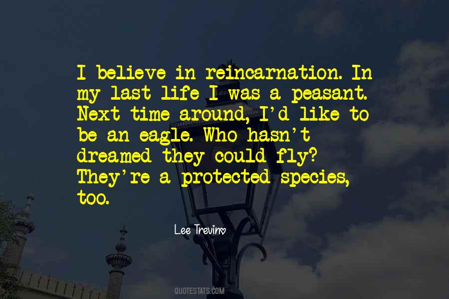 Life Fly Quotes #532041