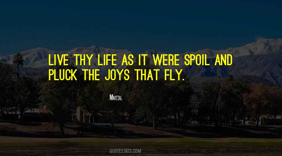 Life Fly Quotes #770129
