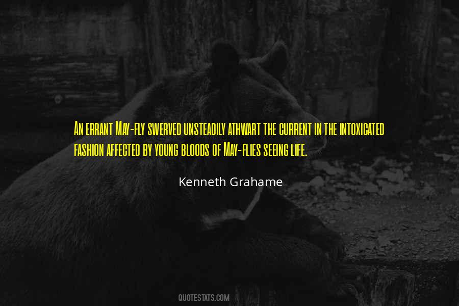 Life Fly Quotes #995587