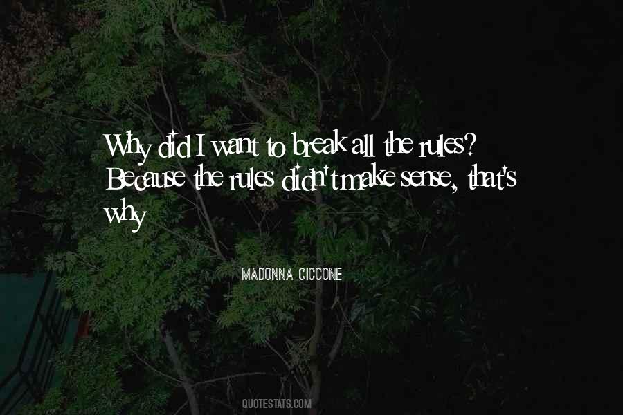 The Rules To Break Quotes #1036453
