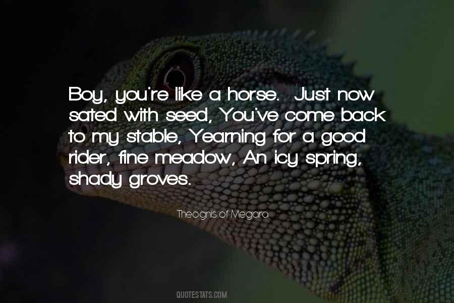 Get Back Up On The Horse Quotes #171822