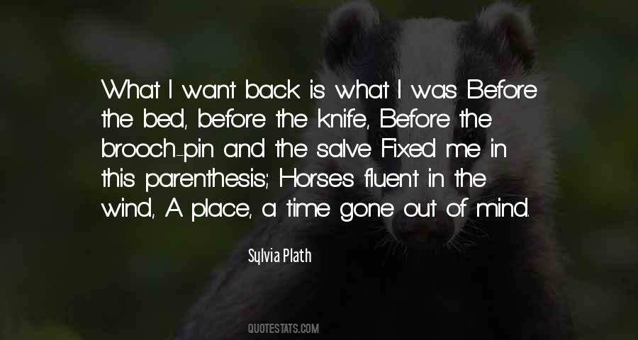 Get Back Up On The Horse Quotes #1853114