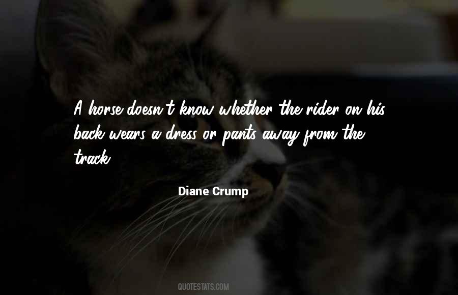 Get Back Up On The Horse Quotes #77652