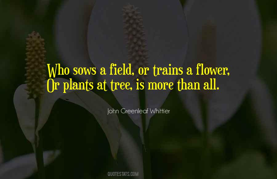 More Plants Quotes #686070