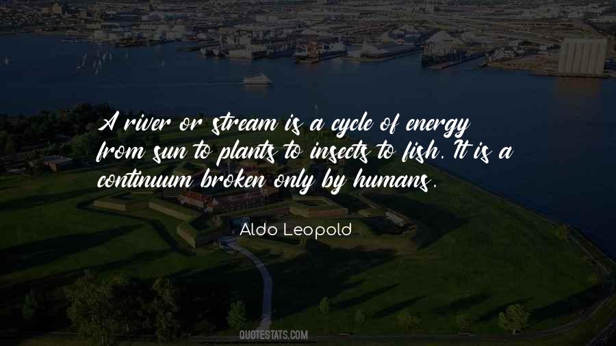 River Stream Quotes #1639438