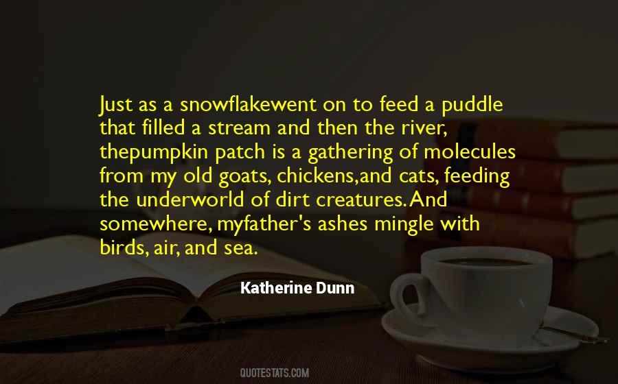 River Stream Quotes #198883