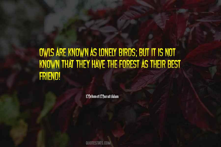 Best Forest Quotes #166447