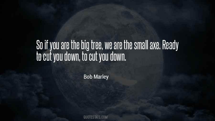 Small Axe Quotes #1311147