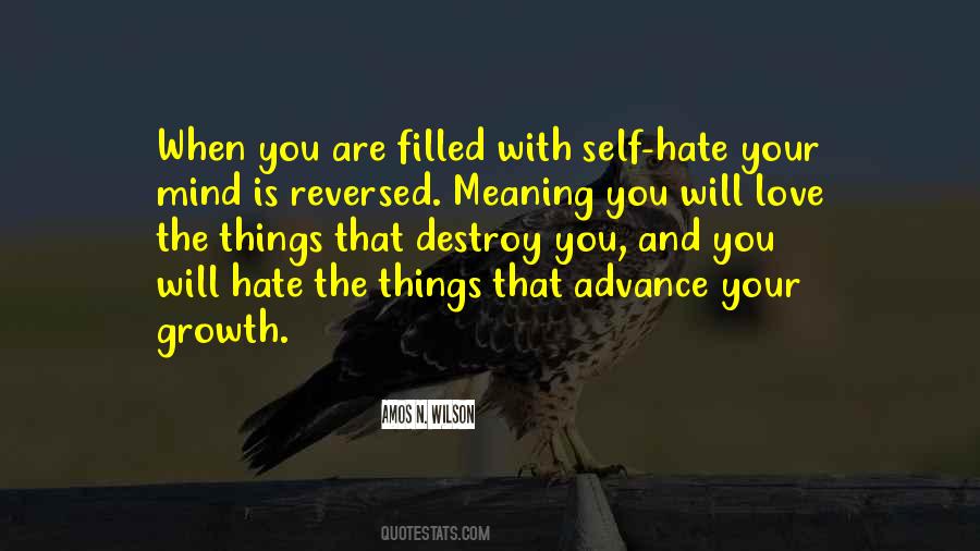 Hate You Love Quotes #530649