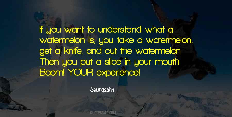 Experience Is What You Get Quotes #1211073