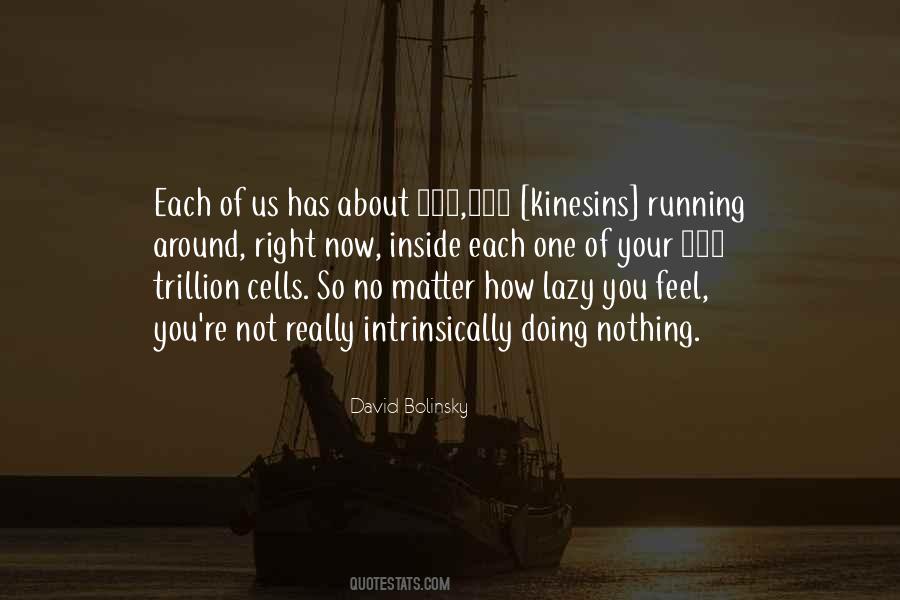 So Lazy Quotes #88361
