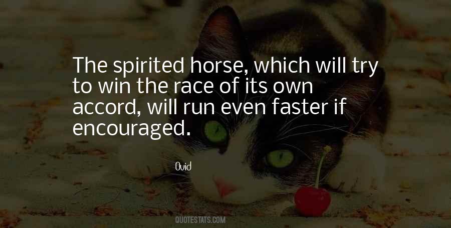 Spirited Horse Quotes #950480