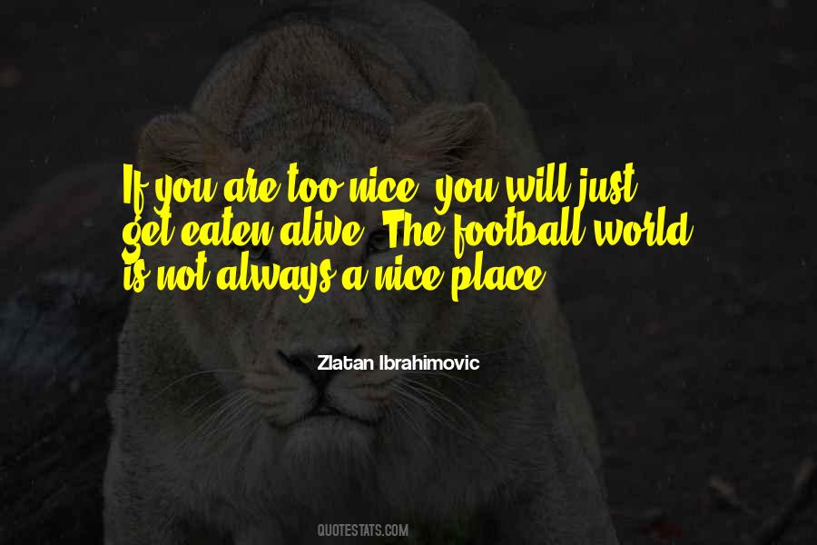 You Are Too Nice Quotes #1674990