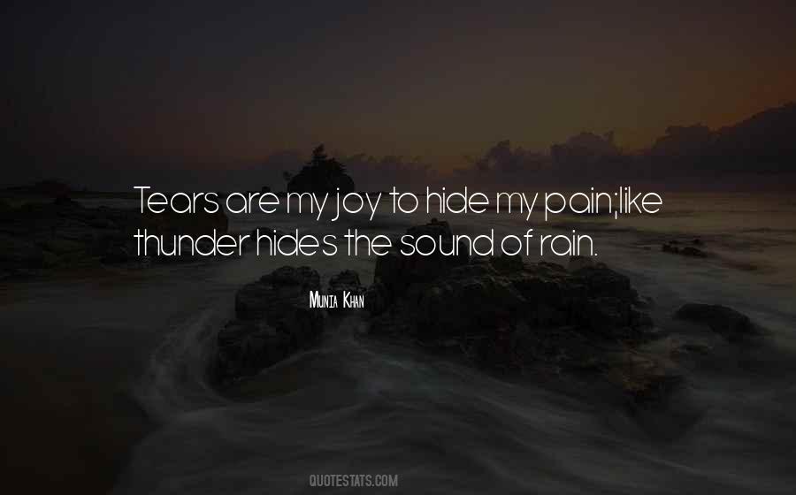 Hide My Pain Quotes #239995