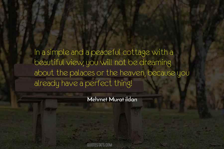 Simple View Quotes #1771949