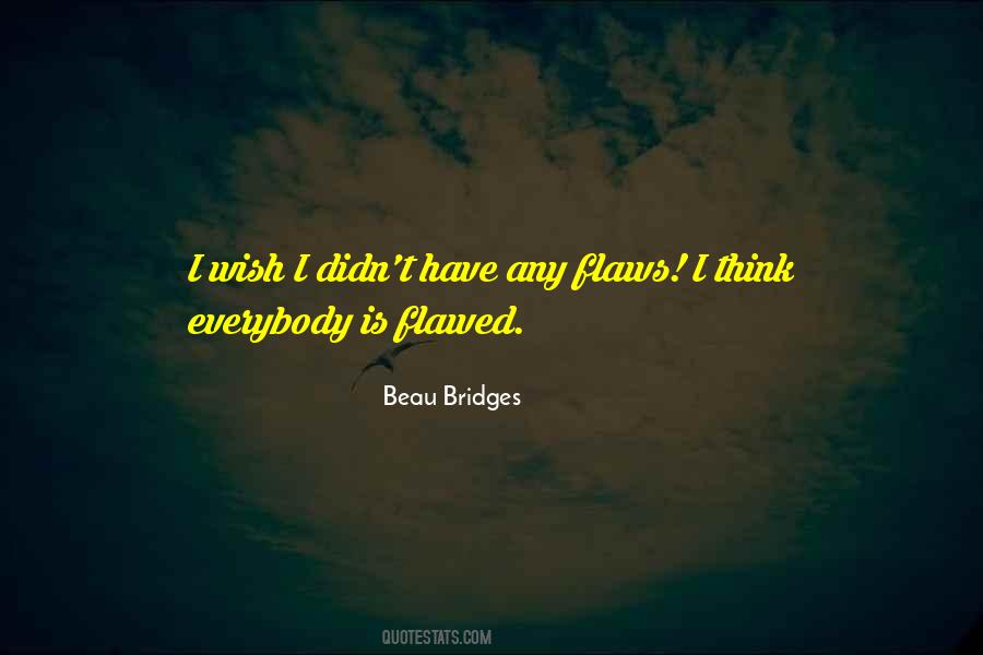 Everybody Has Flaws Quotes #594207