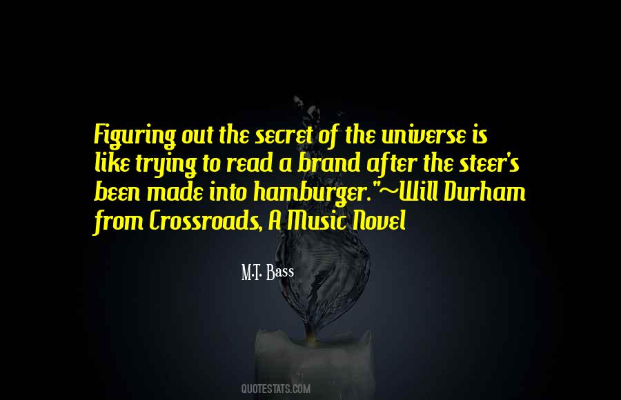 Secret Of The Universe Quotes #1460015