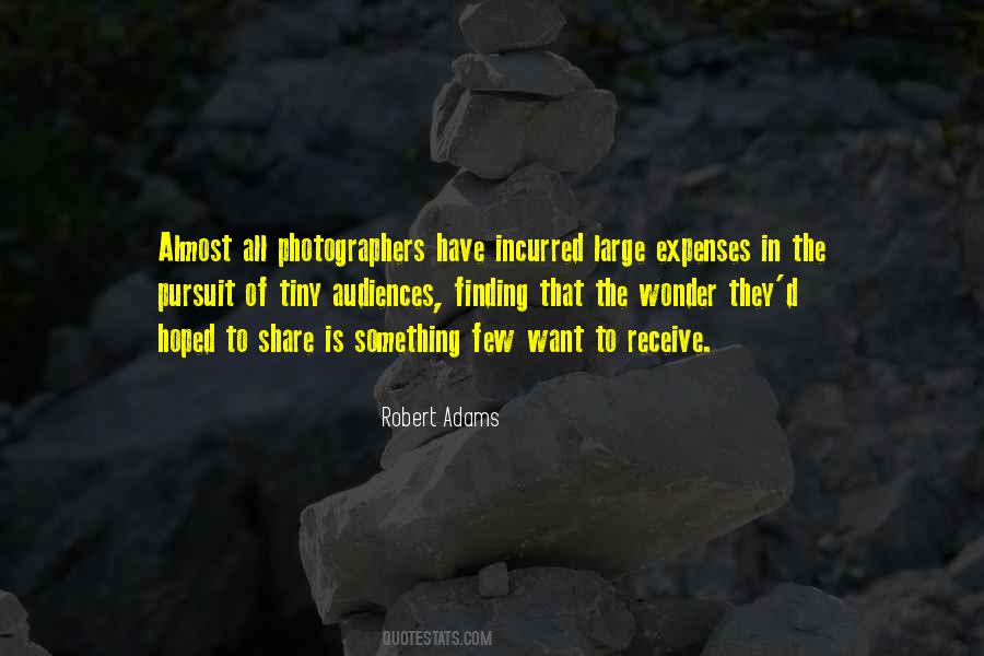 Pursuit Of Wonder Quotes #250310