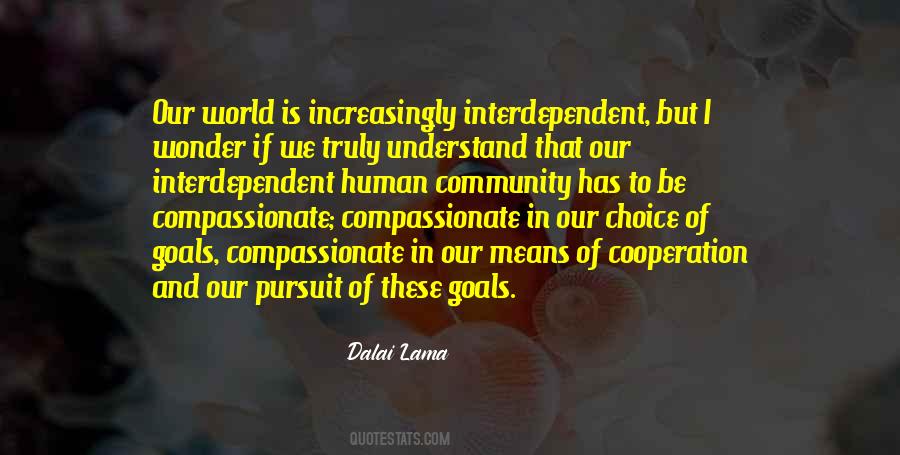 Pursuit Of Wonder Quotes #904390