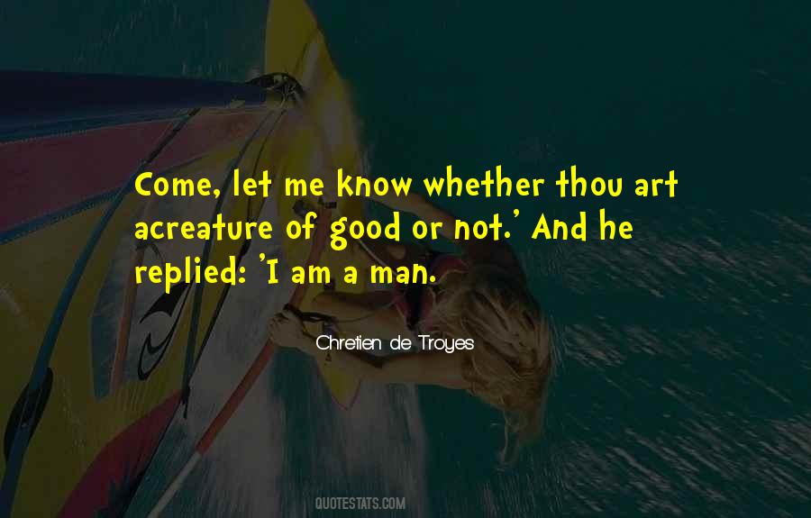 Am Evil Quotes #1685206