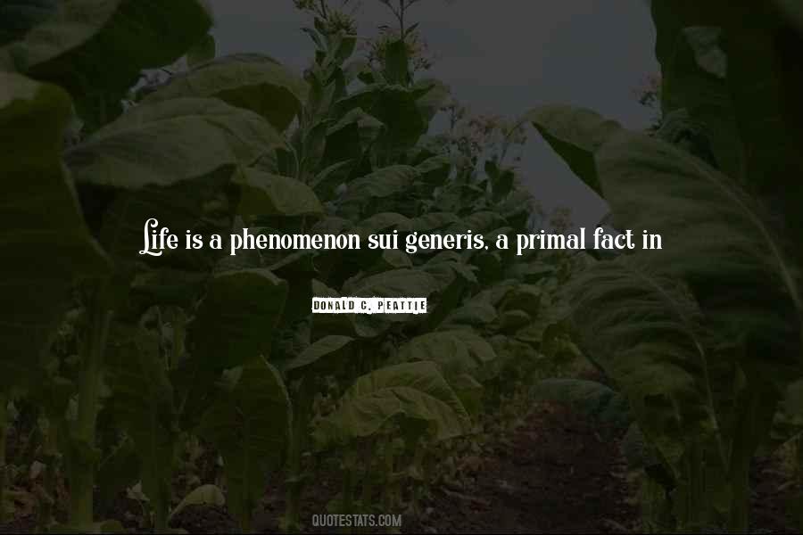 Phenomenon Of Life Quotes #1863567
