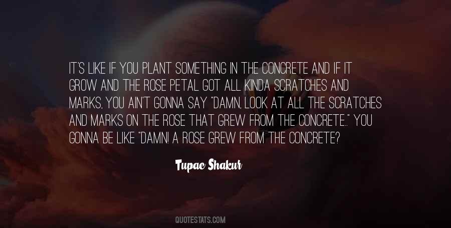 Plant Something Quotes #496342