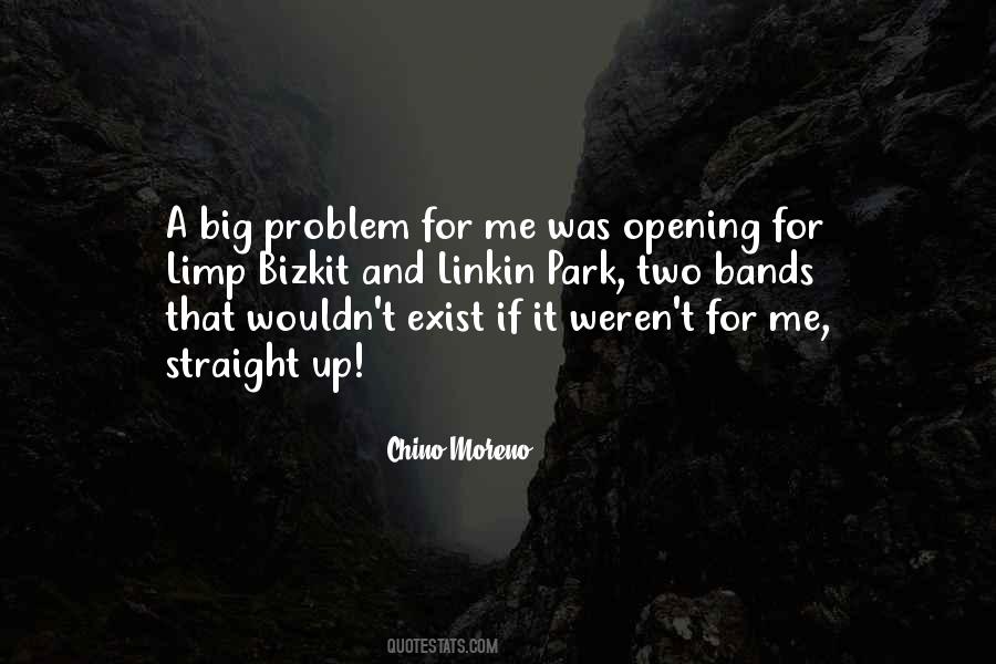 Quotes About A Big Problem #14758